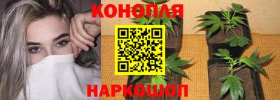 хмурый Лесосибирск