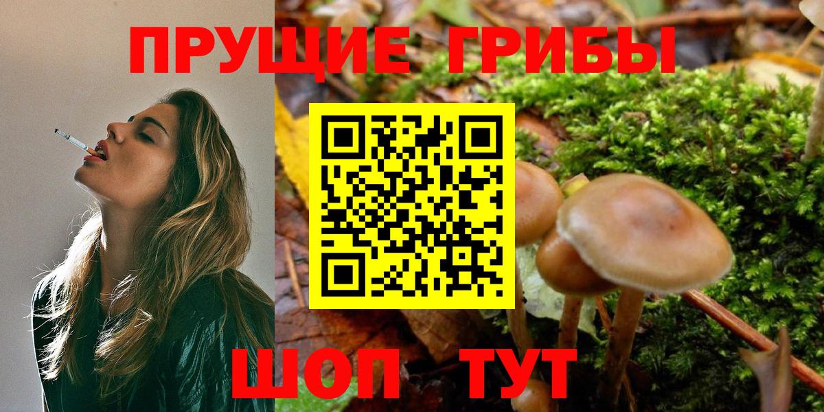 Псилоцибиновые грибы Magic Shrooms  Вход с VPN  где купить   Горячий Ключ 