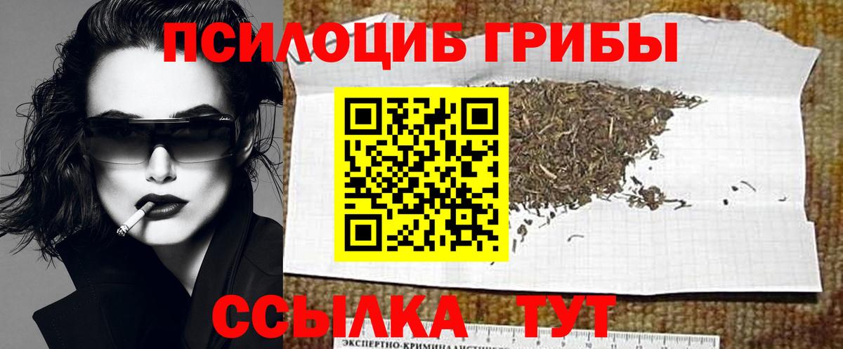 Галлюциногенные грибы мицелий Горячий Ключ